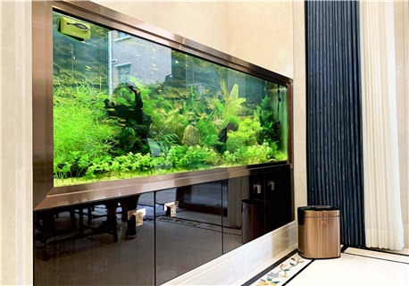 金道家居—如何選購(gòu)室內(nèi)的垃圾桶？