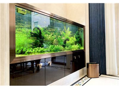 金道家居—如何選購(gòu)室內(nèi)的垃圾桶？